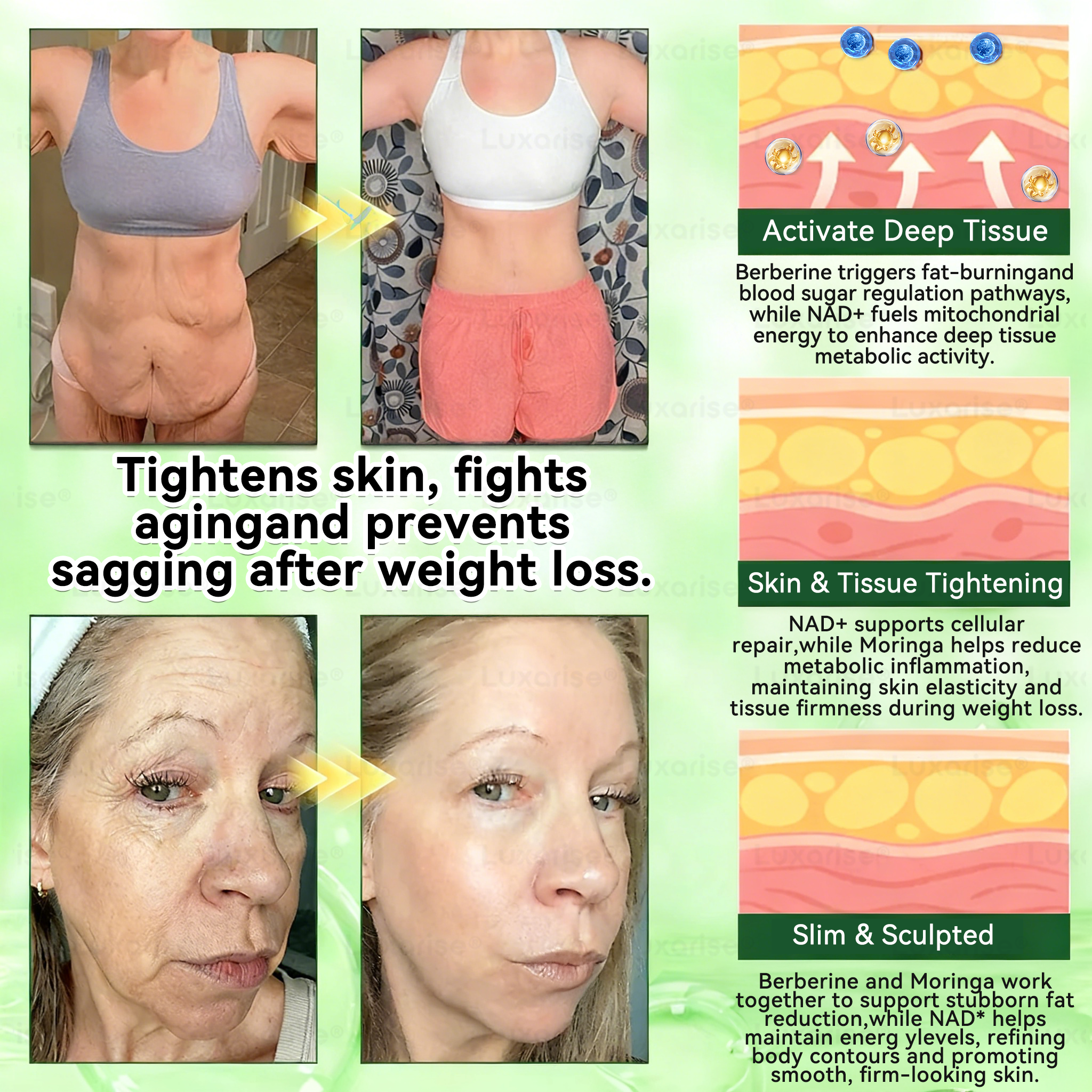 EELHOE Moringa & Berberine 10-IN-1 Advanced Nano Microneedle Patch