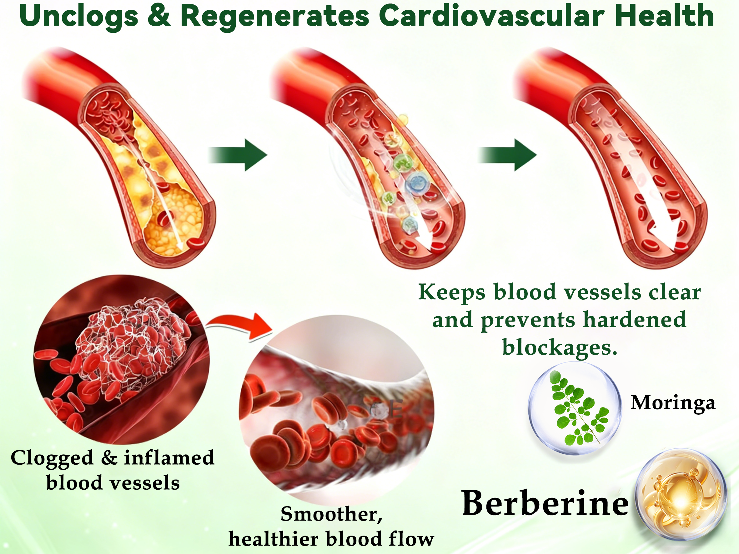 EELHOE Moringa & Berberine 10-IN-1 Advanced Nano Microneedle Patch