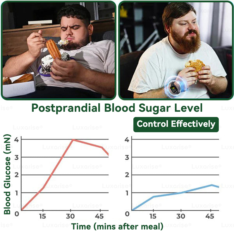 EELHOE Moringa & Berberine 10-IN-1 Advanced Nano Microneedle Patch