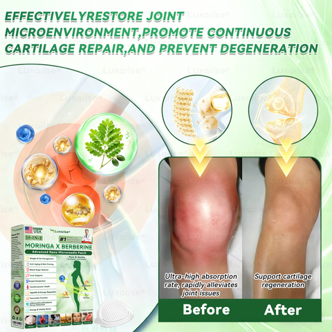 EELHOE Moringa & Berberine 10-IN-1 Advanced Nano Microneedle Patch