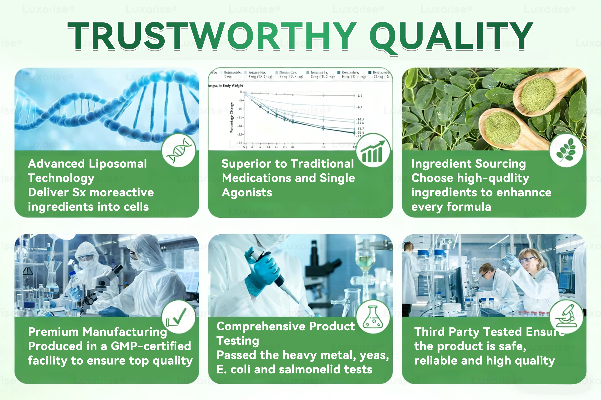 EELHOE Moringa & Berberine 10-IN-1 Advanced Nano Microneedle Patch