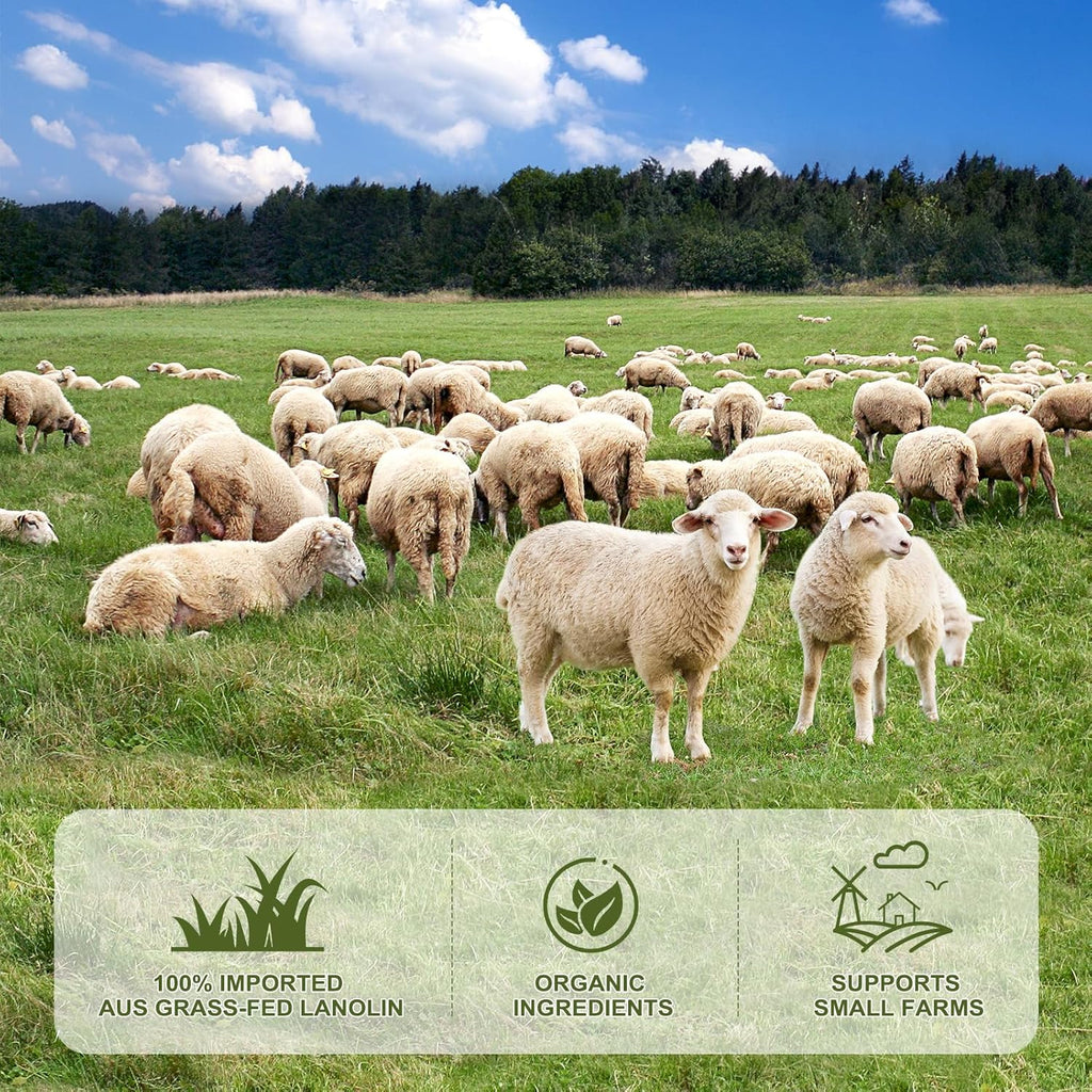 CHIALING Handmade Lanolin - 100% Pure Natural Australian Lanolin Cream - Made in USA - USP Grade Moisturizer for Dry/Cracked Skin, Nipple Discomfort, Lip Hydration & Eczema | Unscented, Additive-Free(3.5 oz)